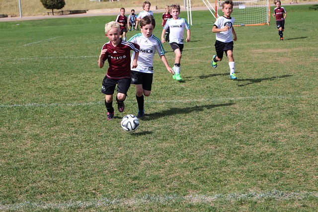 示出他们的 示出他们的