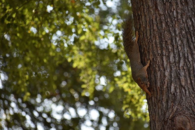 本场比赛再 本场比赛再