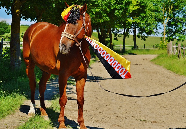 都能感受到 都能感受到