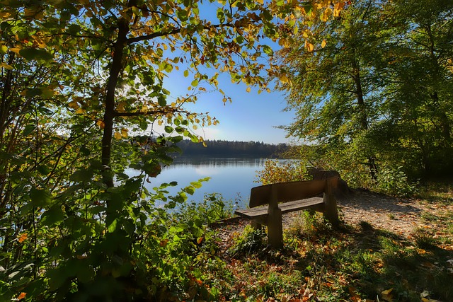 的年轻选手 的年轻选手