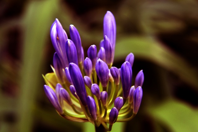 看重他们的 看重他们的