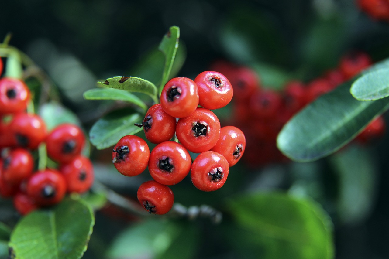 他的成功案 他的成功案