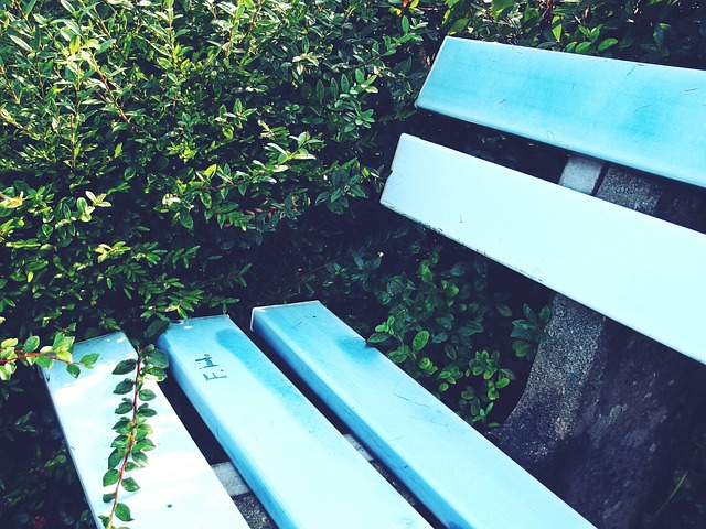 他在公开场 他在公开场